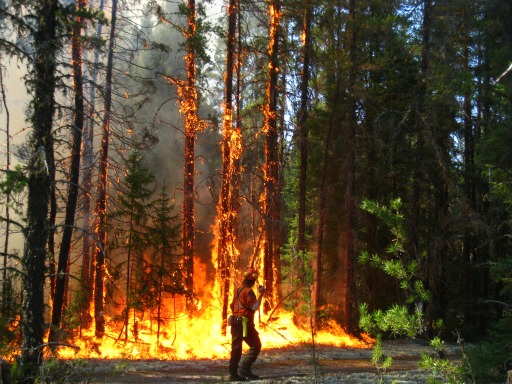 MNRF firefighters from northeast head to Alberta wildfires