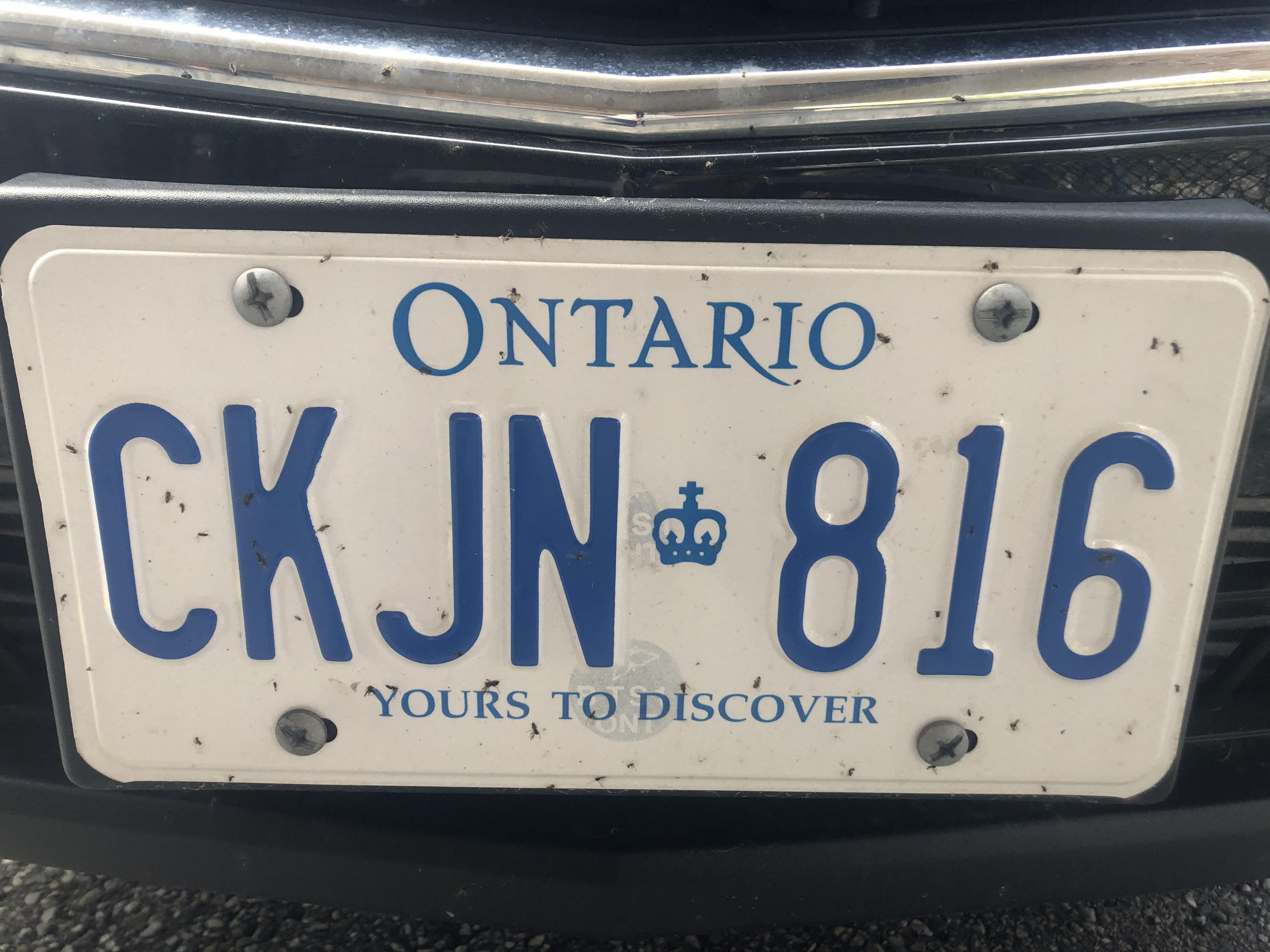 Province to end licence plate sticker fees in midMarch My Kapuskasing Now